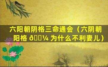 六阳朝阴格三命通会（六阴朝阳格 🐼 为什么不利妻儿）